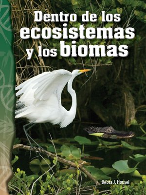 cover image of Dentro de los ecosistemas y los biomas